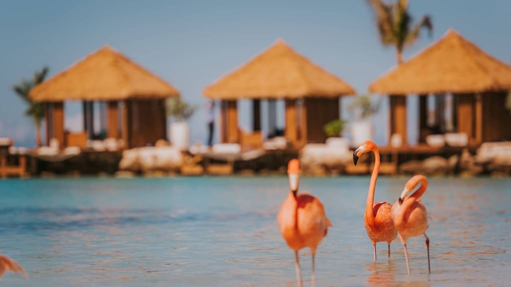 Renaissance Wind Creek Ocean Suites