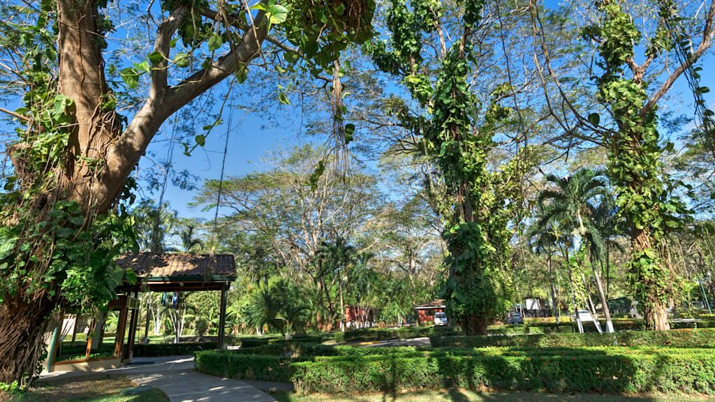 CC Beach Front Papagayo