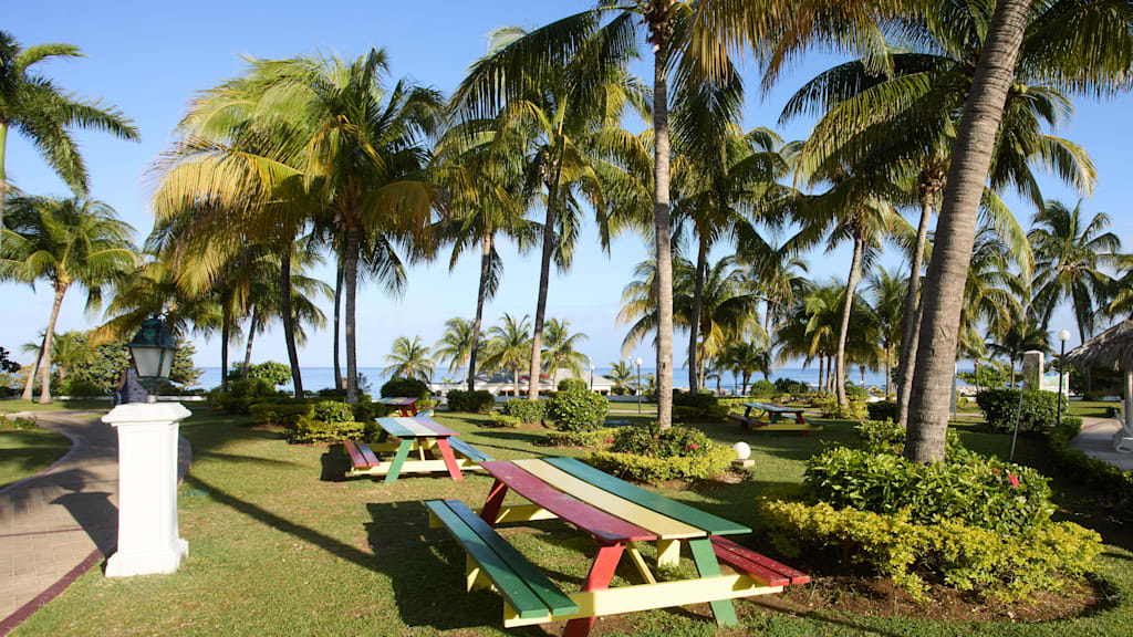 Bahia Principe Explore Jamaica