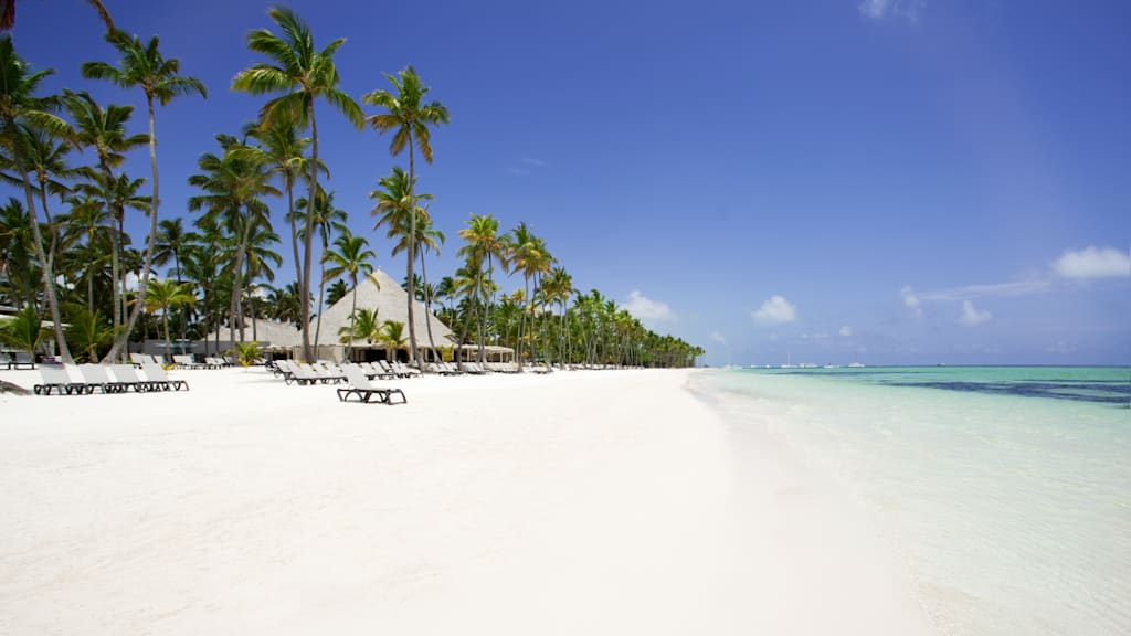 Barcelo Bavaro Beach