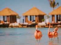 Renaissance Wind Creek Ocean Suites