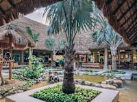 Iberostar Waves Quetzal