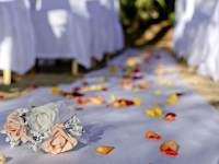 Occidental Tamarindo