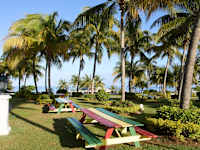 Bahia Principe Explore Jamaica
