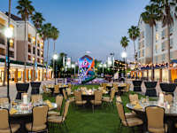 Courtyard Orlando LBV In The Marriott Village