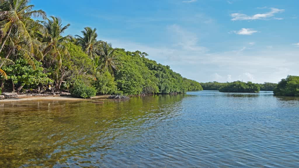 Decameron Marazul