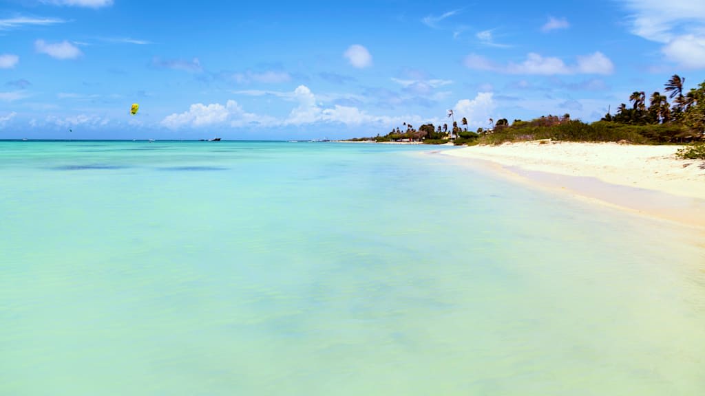 Barcelo Aruba