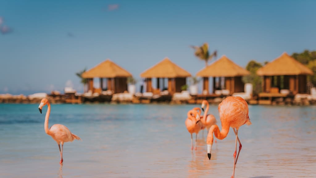 Renaissance Wind Creek Aruba Resort