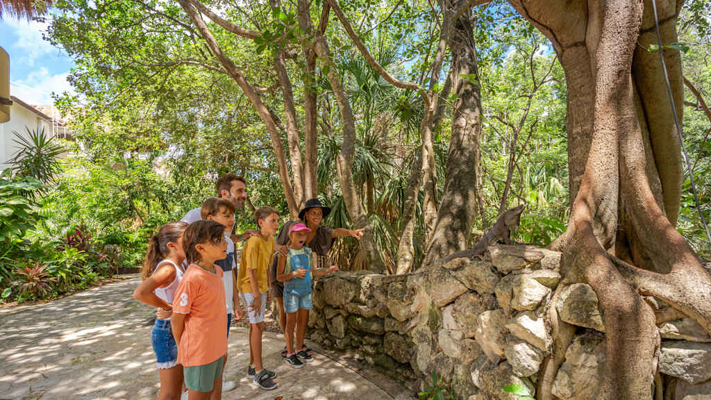 Sandos Caracol Nature Resort and Water Park