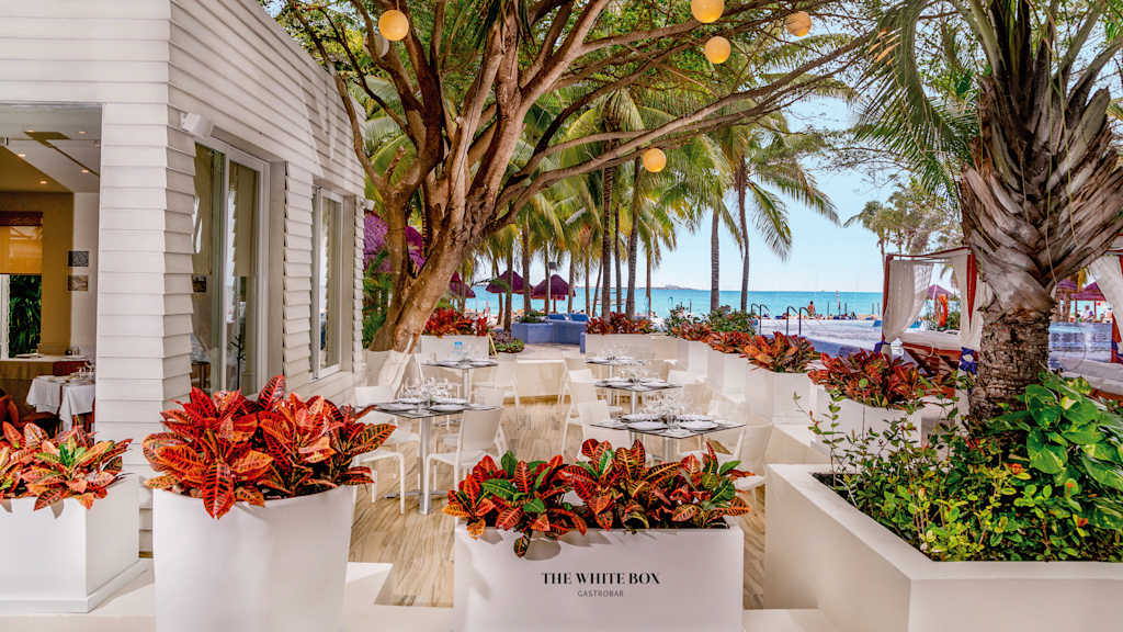 The Sens Cancun