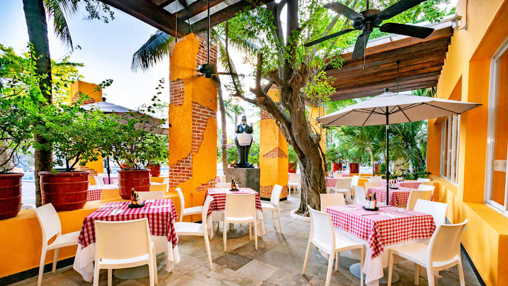 Grand Oasis Palm