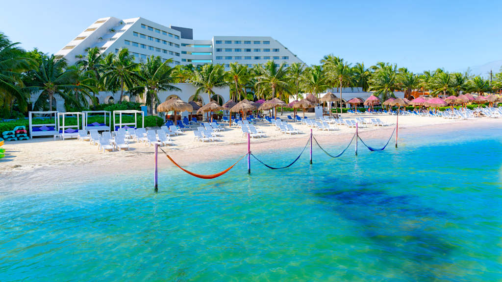Grand Oasis Palm