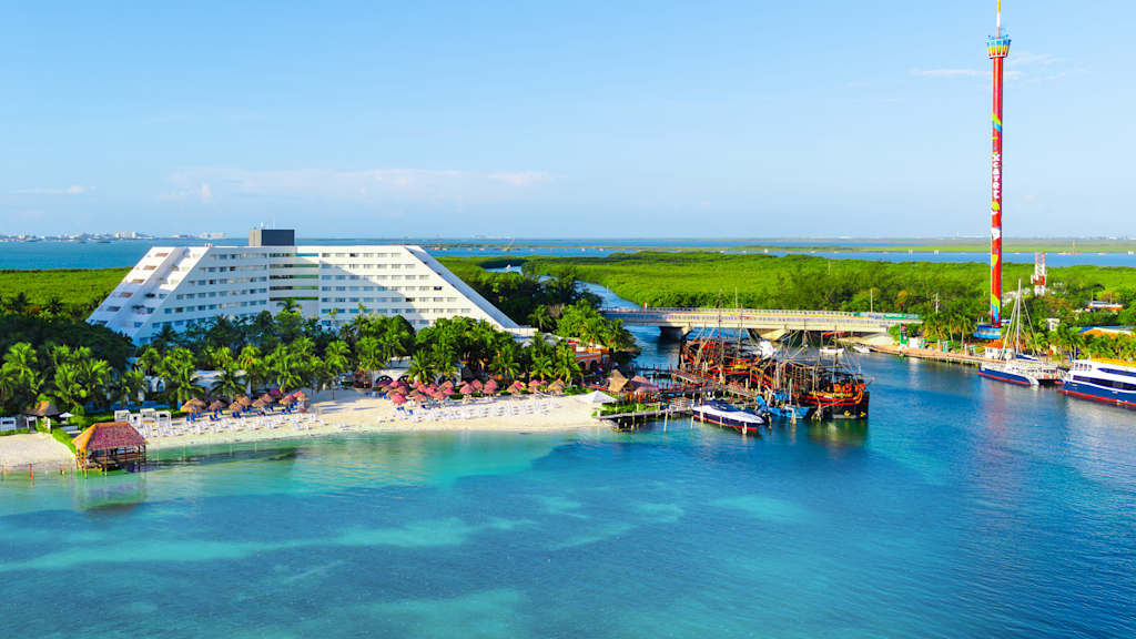 Grand Oasis Palm