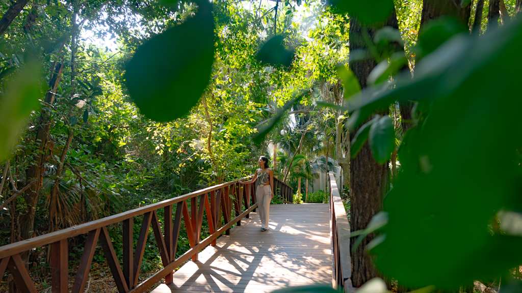 Grand Oasis Tulum Riviera