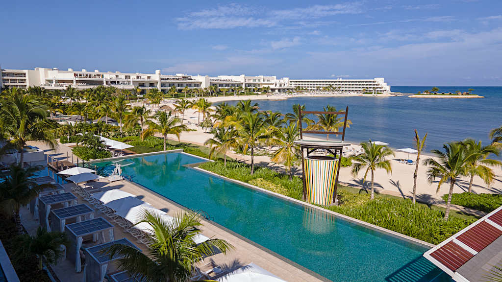 Princess Senses The Mangrove