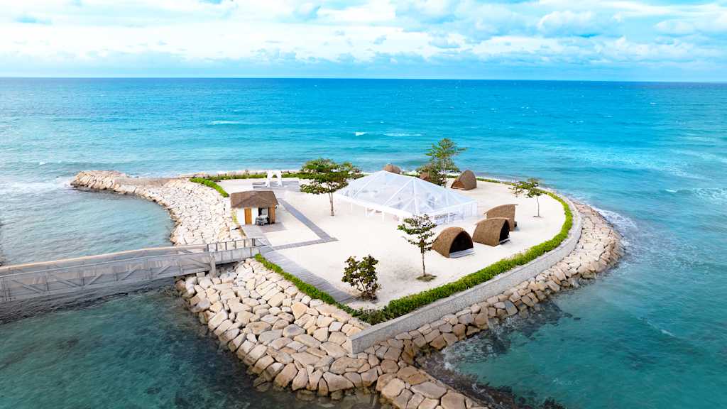 Princess Senses The Mangrove