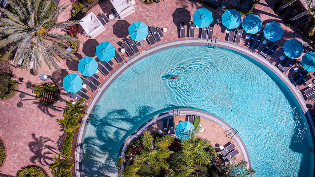 Melia Orlando Celebration