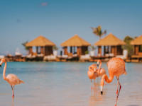 Renaissance Wind Creek Aruba Resort