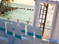 Renaissance Wind Creek Aruba Resort