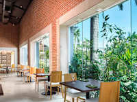 Hyatt Vivid Playa Del Carmen