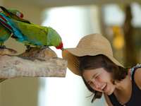 Occidental at Xcaret Destination