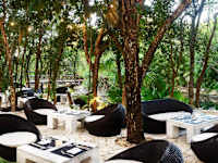 Catalonia Royal Tulum