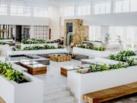 Majestic Elegance Costa Mujeres