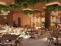 Majestic Mirage Costa Mujeres