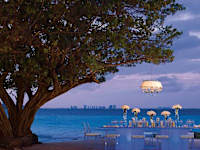 Dreams Sands Cancun Resort and Spa 