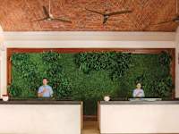 Wyndham Alltra Playa del Carmen Adults