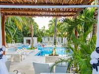 Oh Cancun The Urban Oasis