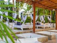 Oh Cancun The Urban Oasis