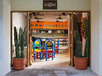 Oh Cancun The Urban Oasis