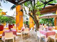 Grand Oasis Palm