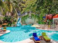 Grand Oasis Palm