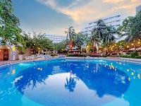Grand Oasis Palm