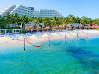 Grand Oasis Palm