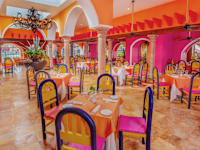 Grand Oasis Palm