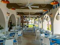 Grand Oasis Palm
