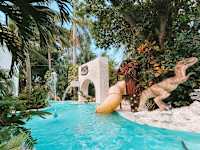 Grand Oasis Palm