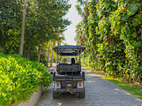 Grand Oasis Tulum Riviera