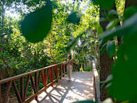 Grand Oasis Tulum Riviera