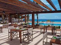 Secrets The Vine Cancun 