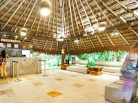 Tukan Hotel Playa Del Carmen