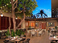 Dreams Curacao Resort, Spa and Casino 