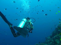 Sunscape Curacao Resort, Spa and Casino 