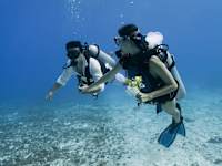 Dreams Cozumel Cape Resort and Spa