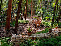 Paradisus Rio de Oro Resort and Spa