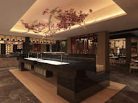 Riu Guanacaste
