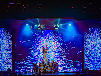 Fiesta Resort All Inclusive 